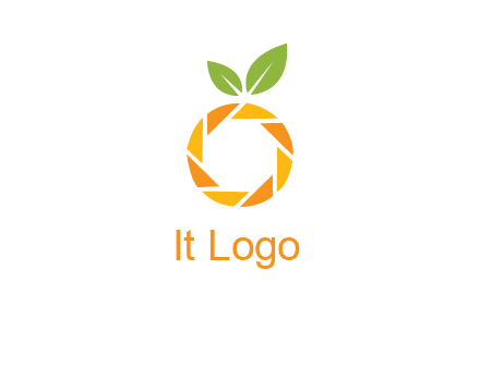 camera lens in an orange fruit shape logo