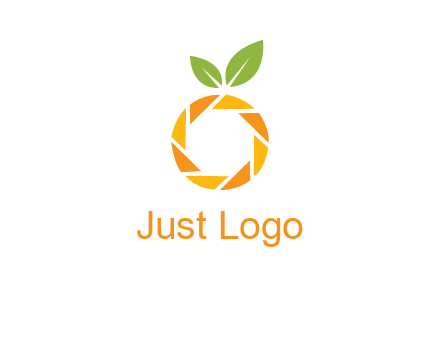camera lens in an orange fruit shape logo