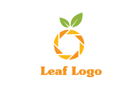 camera lens in an orange fruit shape logo