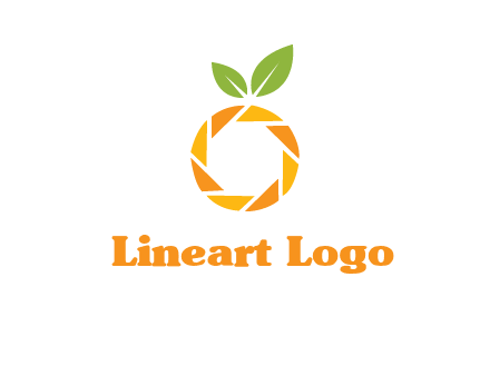 camera lens in an orange fruit shape logo