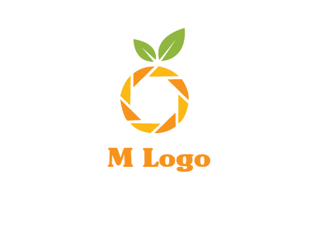 camera lens in an orange fruit shape logo