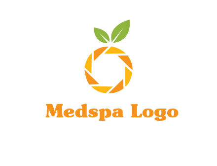camera lens in an orange fruit shape logo