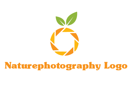 camera lens in an orange fruit shape logo