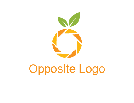 camera lens in an orange fruit shape logo