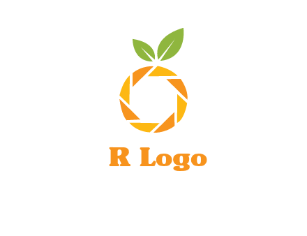 camera lens in an orange fruit shape logo