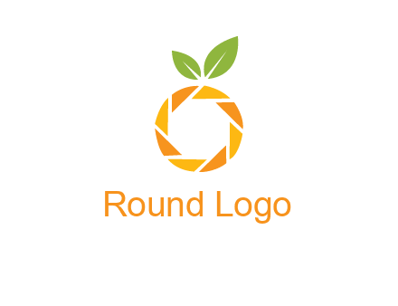 camera lens in an orange fruit shape logo