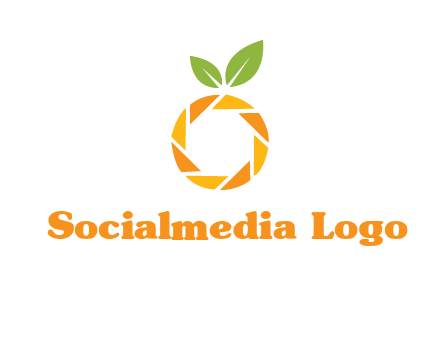 camera lens in an orange fruit shape logo