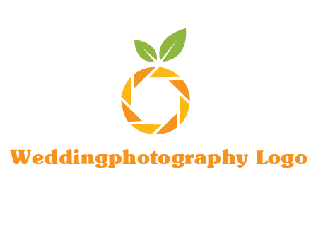 camera lens in an orange fruit shape logo