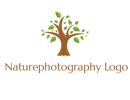 tree with leaves logo