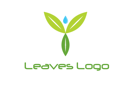 leaves with water drop icon