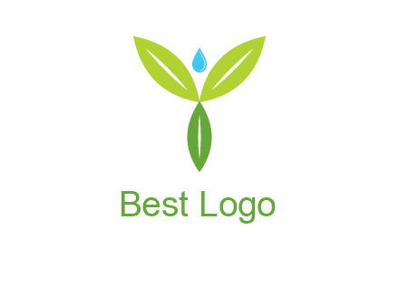 leaves with water drop icon