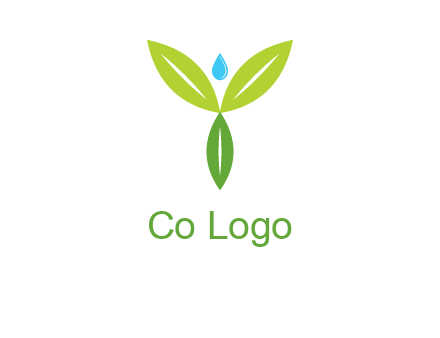 leaves with water drop icon