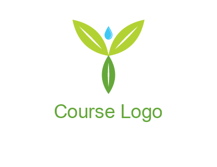 leaves with water drop icon
