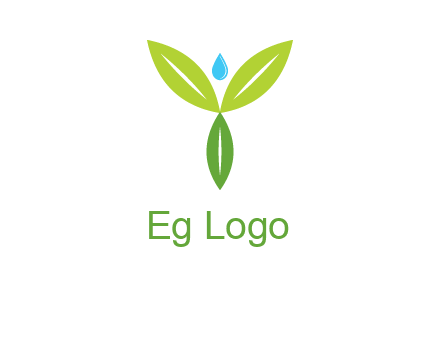 leaves with water drop icon