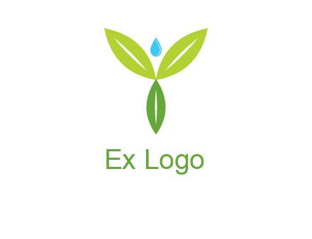 leaves with water drop icon