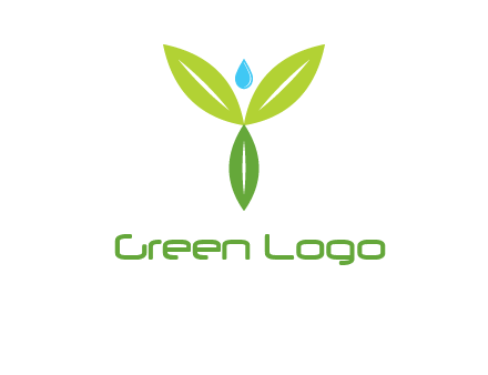 leaves with water drop icon