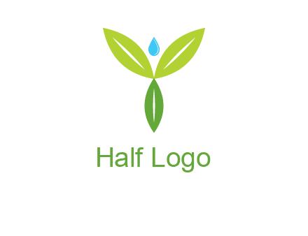 leaves with water drop icon