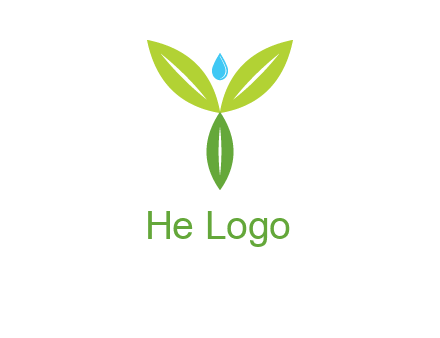 leaves with water drop icon