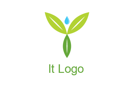 leaves with water drop icon