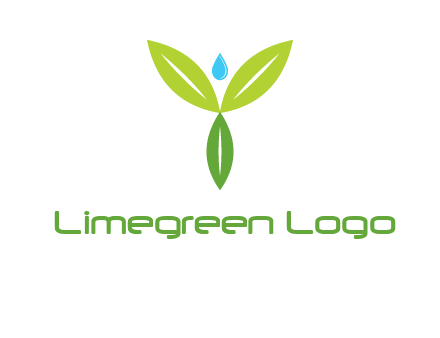 leaves with water drop icon