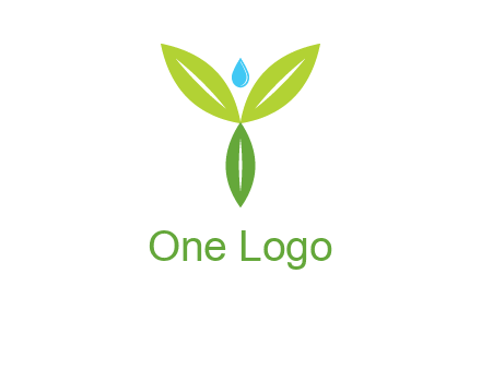leaves with water drop icon