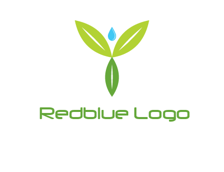 leaves with water drop icon