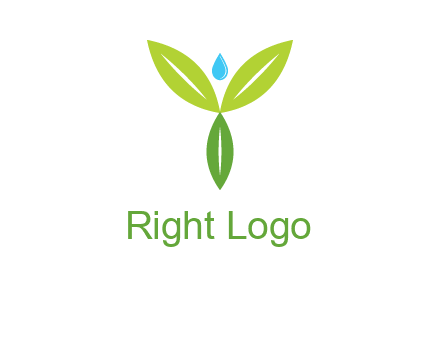 leaves with water drop icon