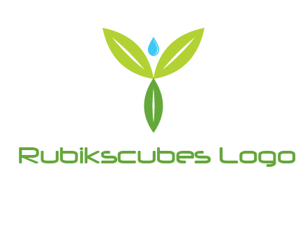 leaves with water drop icon