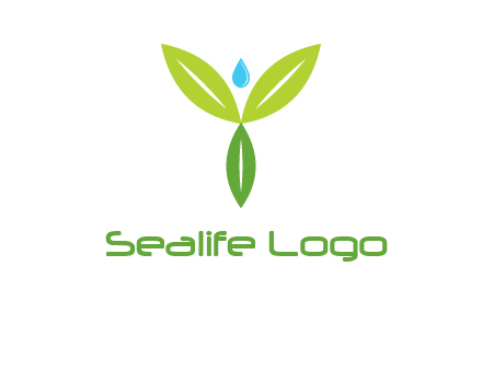 leaves with water drop icon