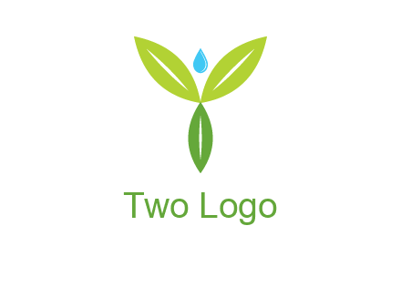 leaves with water drop icon