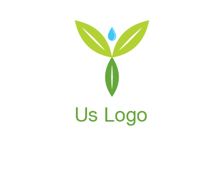leaves with water drop icon