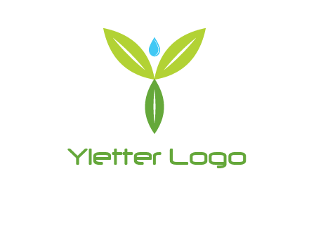 leaves with water drop icon