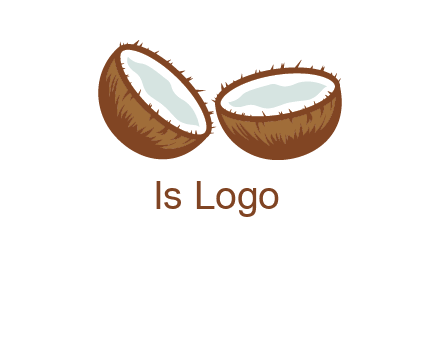 coconuts icon in resort logo