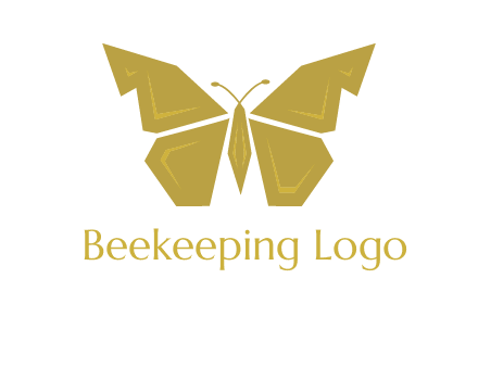 geometric butterfly icon
