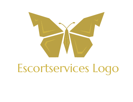 geometric butterfly icon