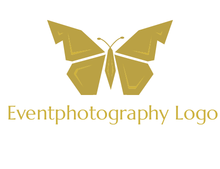 geometric butterfly icon