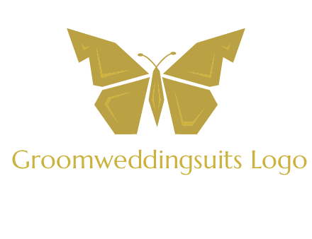 geometric butterfly icon