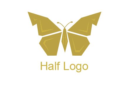 geometric butterfly icon