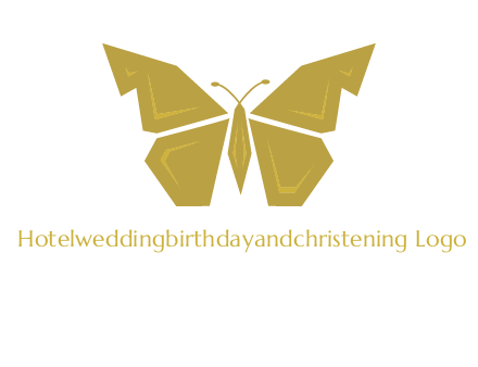 geometric butterfly icon