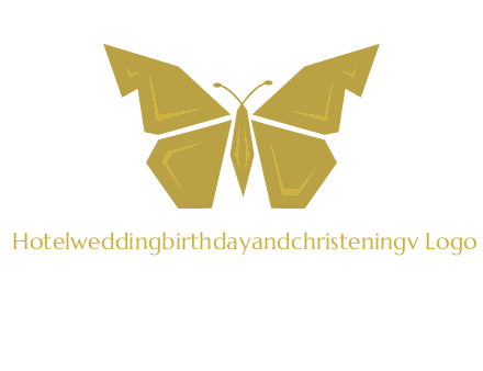 geometric butterfly icon