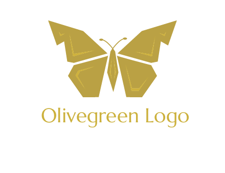 geometric butterfly icon