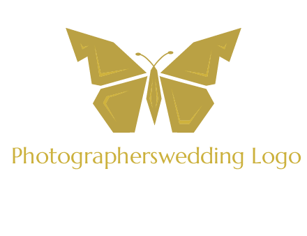 geometric butterfly icon