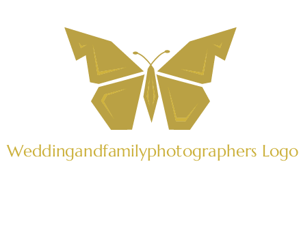 geometric butterfly icon