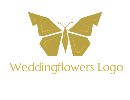 geometric butterfly icon