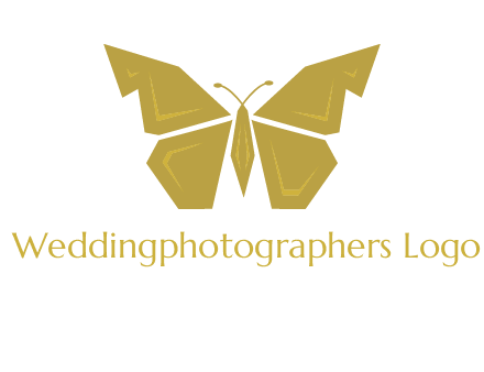 geometric butterfly icon