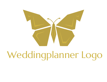 geometric butterfly icon