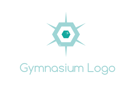 hexagon gemstones jewelry logo