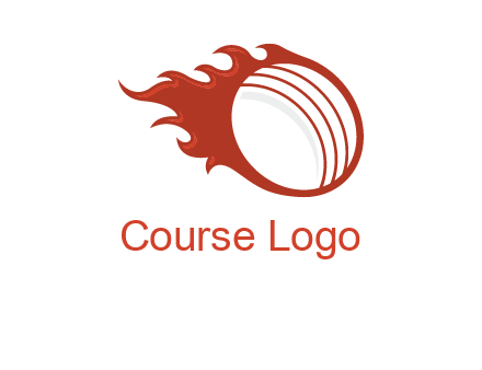 cricket ball fire sports logo