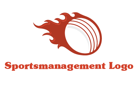 cricket ball fire sports logo