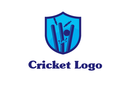 wicket sports logo